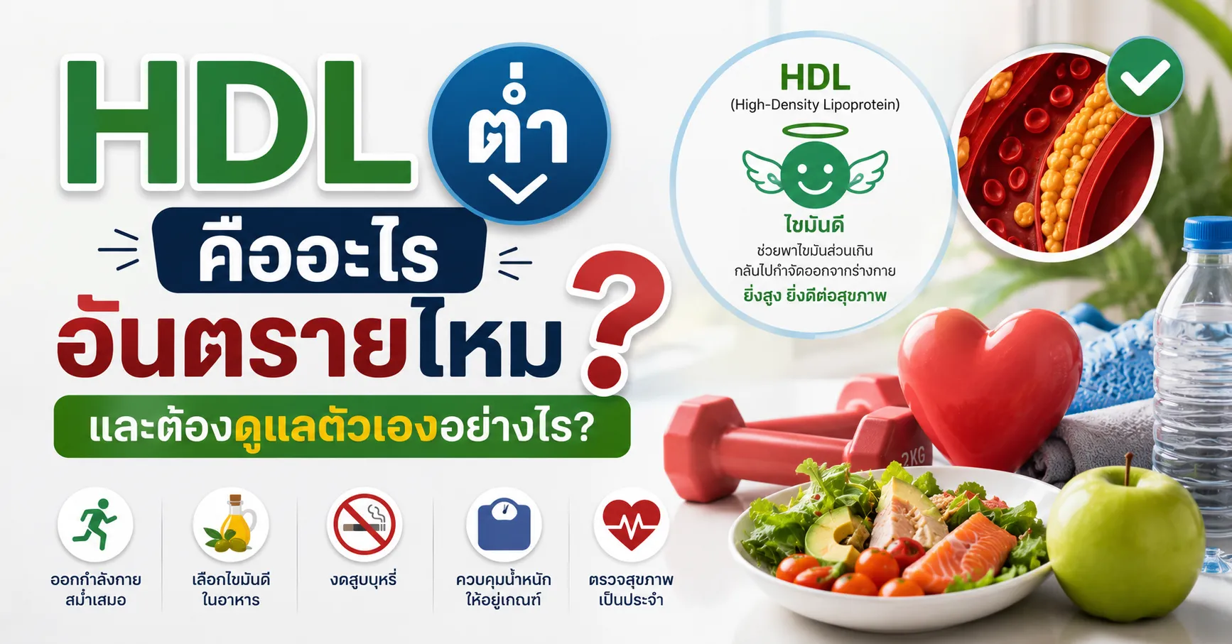 low-hdl1
